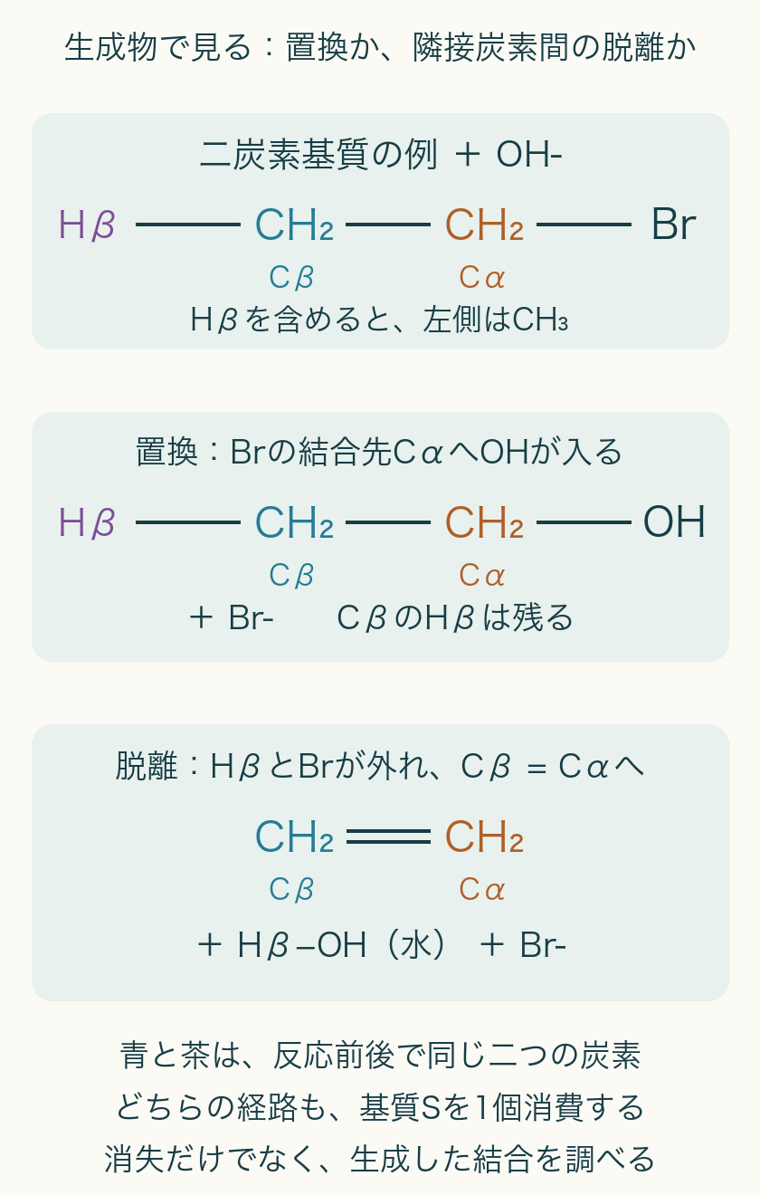 二炭素基質で、置換はCαのBrをOHで置換しCβのHβを保持。脱離はHβとBrを除きCβCα二重結合と水、Br−を作る。炭素二個の対応を色で保持。