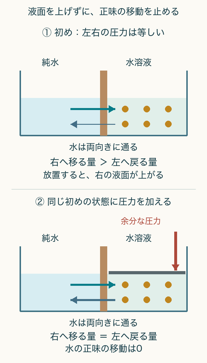 上は等しい液面と圧力で右への移動が多い。下は同じ初めの状態から右側へ圧力を加え、両向きの水の移動がつり合う。