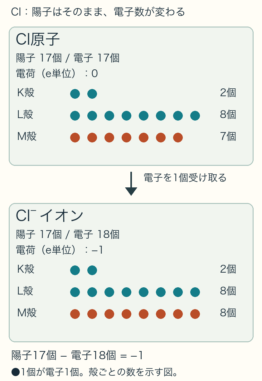 Cl原子は陽子17個、電子K2 L8 M7で合計17個。Cl−は陽子17個、電子K2 L8 M8で合計18個、電荷−1